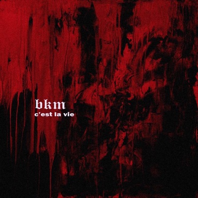 C'est la vie - Single