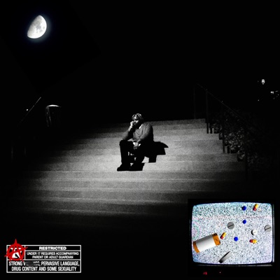 "Life Is Beautifully Terrifying", Said the Dying Rose.