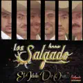 LOS HERMANOS SALGADO