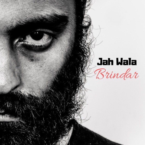 Brindar