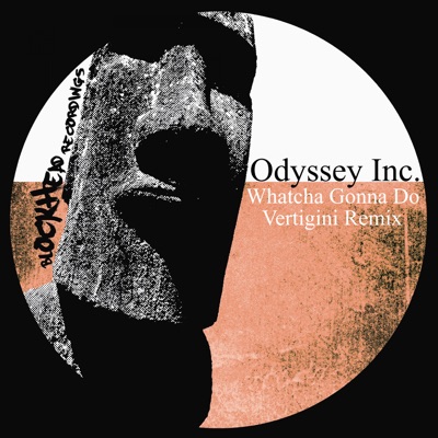 Whatcha Gonna Do (Vertigini Remix) - Single