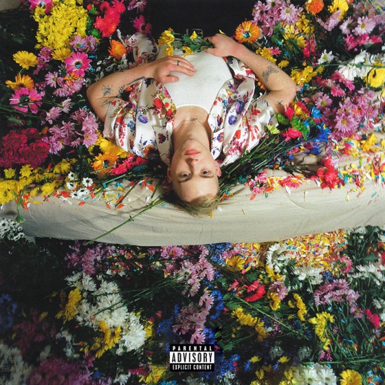 Cover artwork for Nicotine