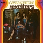 The Exciters - You Don't Know What You're Missing (Til It's Gone!)