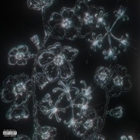 All Lies - Single - kalia