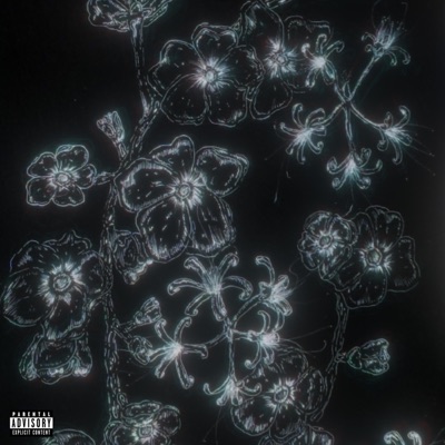 All Lies - Single