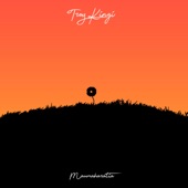 Troy Kingi - Maumaharatia