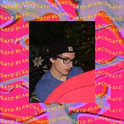 Attention - Single - Gato Blanco