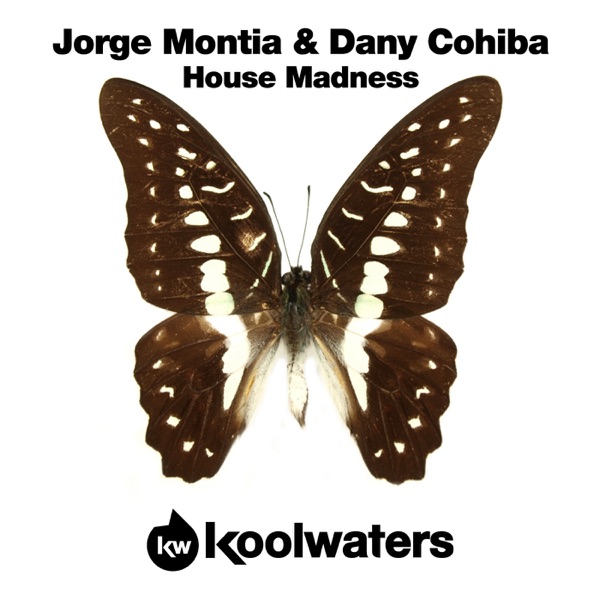 House Madness - Single