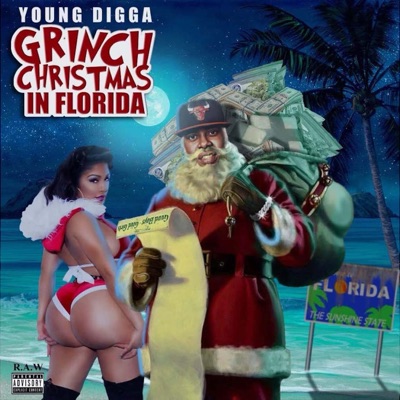 GRINCH christmas in florida