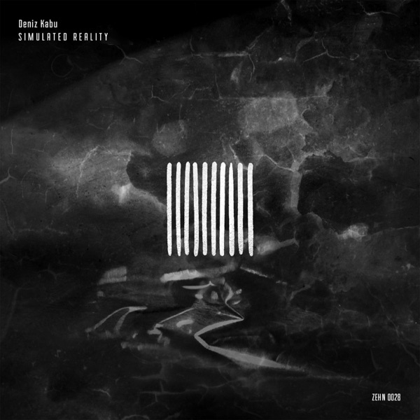 Simulated Reality - Single