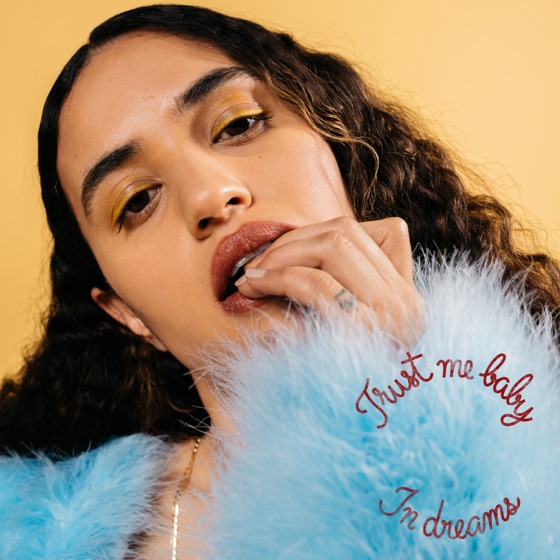 Cover artwork for In Dreams