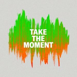 Take the Moment - Single