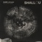 Older (Felix Cartal Remix) - Shallou, Daya & Felix Cartal lyrics