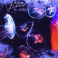 Never Knew (feat. Jayj & July) - Single - Silo