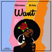 Want (feat. B-Fela) artwork