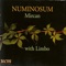 Numinosum (feat. Limbo) - Mircan Kaya lyrics