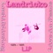 Matrix (My Mind 2) - Landricko lyrics