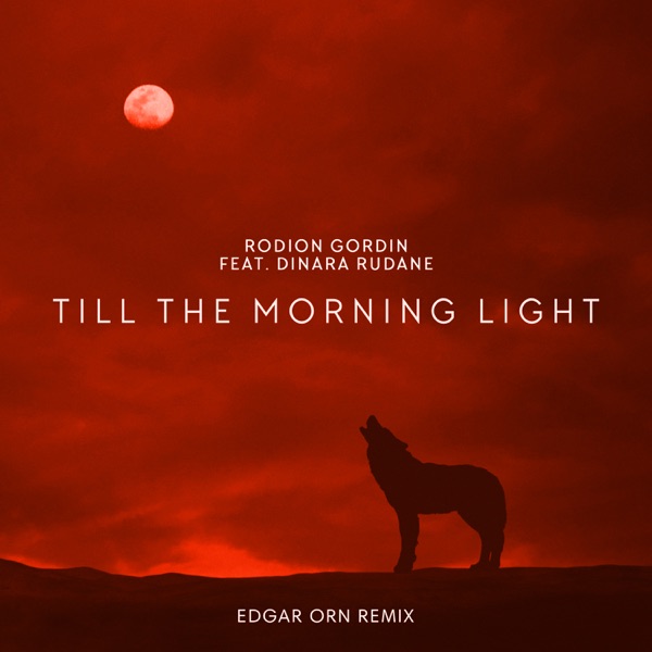 Till the Morning Light (Edgar Orn Remix) [feat. Dinara Rudane]