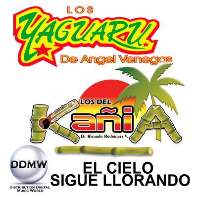 El Cielo Sigue Llorando (feat. Los Del Kañia De Ricardo Rodríguez V.) - Single