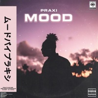 Mood - EP - Praxi