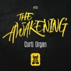 The Awakening - Single