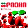 Pacha Portugal