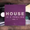 Austins Groove - Disco 909 (Joey Chicago Weird Mix)