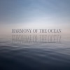 Ocean Sounds - Nighttime Waves