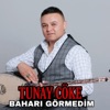 Baharı Görmedim - Single