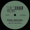 When The Spirit Moves (feat. Capathia Jenkins) [Soulfuric Dub Mix] cover art