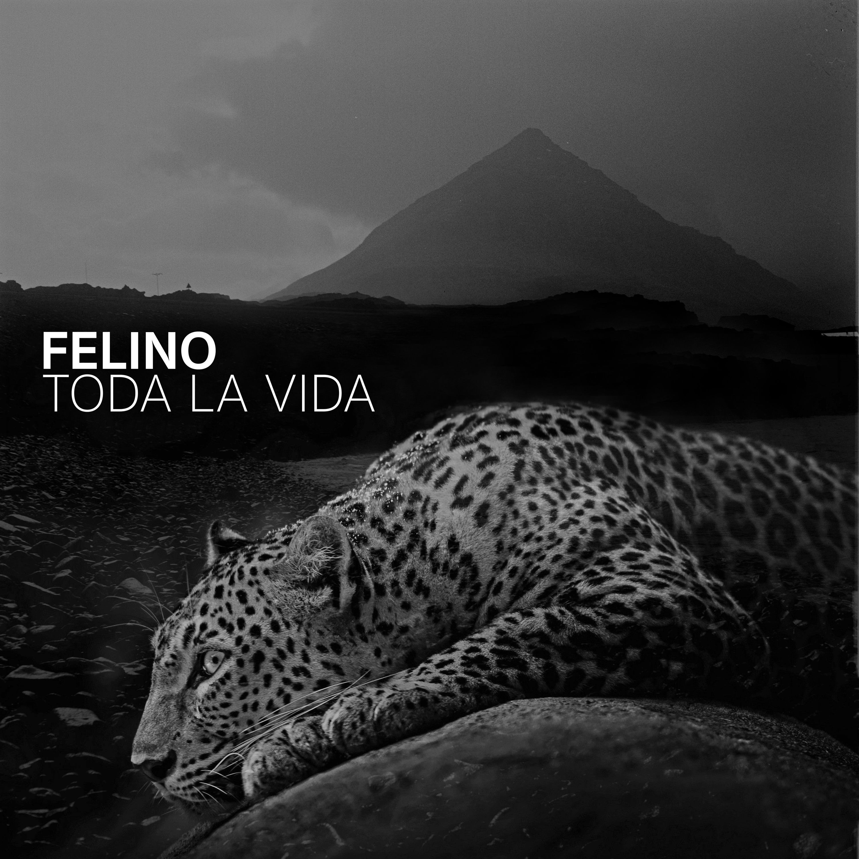 Toda la Vida - Single