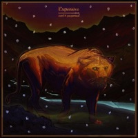 Expensive (feat. Psypiritual) - Single - Zard