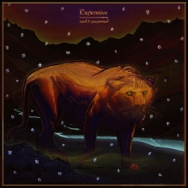 Expensive (feat. Psypiritual) Zard