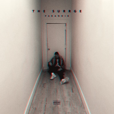 Paranoid - Single
