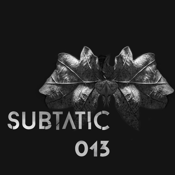 Subtatic 013 - Single
