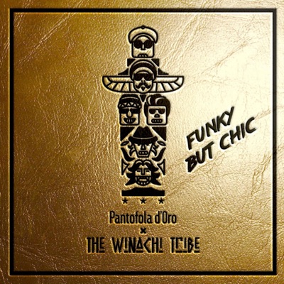 Funky But Chic - Single