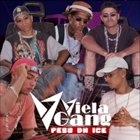 Peso da Ice - Single - Dj Nego Beat