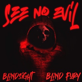 See No Evil Blindsight