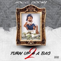 Turn Up 4 a Bag 2 - Hogg Booma