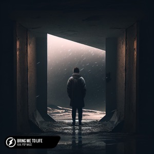 Bring Me To Life (Acoustic) - Single