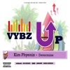 Kim Phyenix - Determine