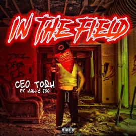 In the Field (feat. Mally Foo) Ceo Tosh