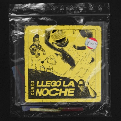 Llegó la noche - Single