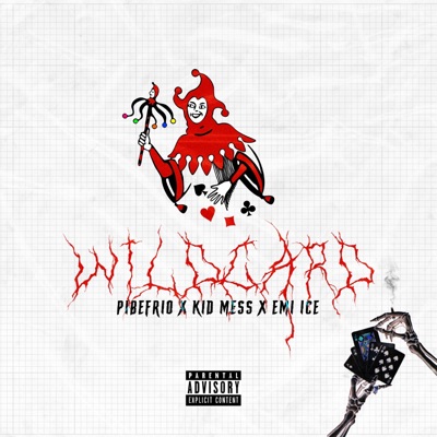 Wildcard (feat. Kid Mess) - Single