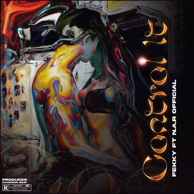 Control it (feat. Fekky x N.A.R) - Single