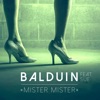 Mister Mister (feat. Sue) - Single