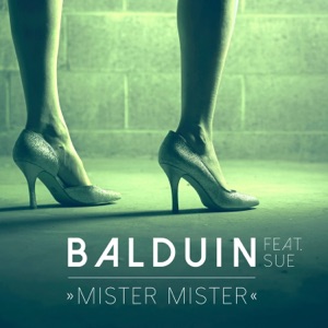 Mister Mister (feat. Sue) - Single