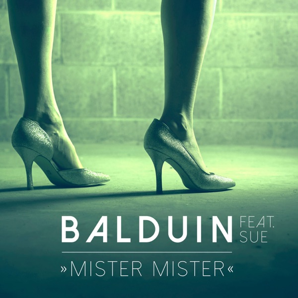 Mister Mister (feat. Sue) - Single