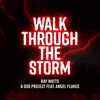 Walk Through the Storm (feat. Angel Flukes) - Single