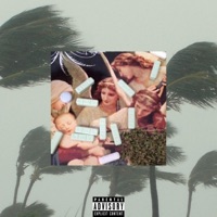 Beat Em Down (feat. Geo Sunsetmoth) - Single - Lil Hauki